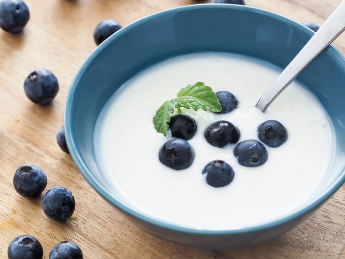A bowl of plain yogurt with blueberries on top